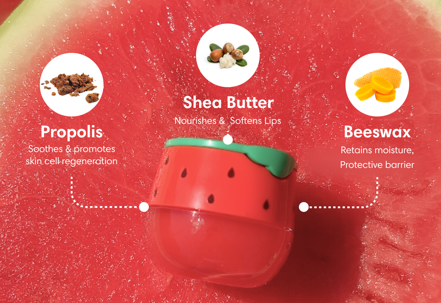 Wassermelone Bienenbalsam